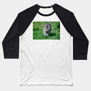 elb tabby Baseball T-Shirt